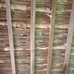 13IMG_3555