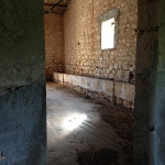 24IMG_3569