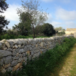 26IMG_3571